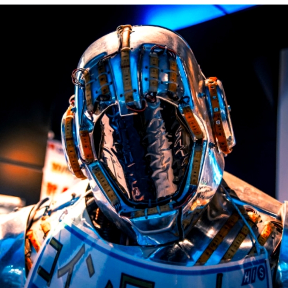 Wall prints plus free 6 stocks were info